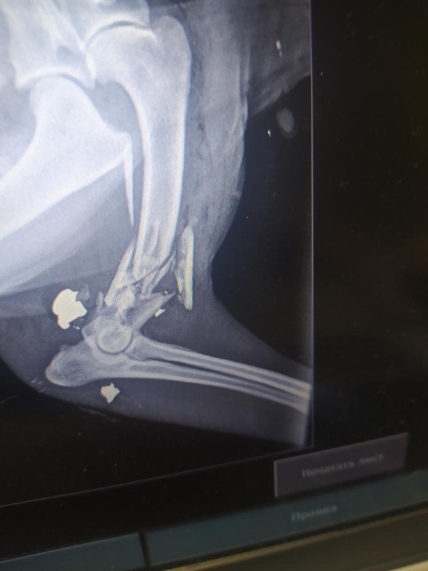 7EF61AB8-DA2D-4972-A07E-E7FE151F5041