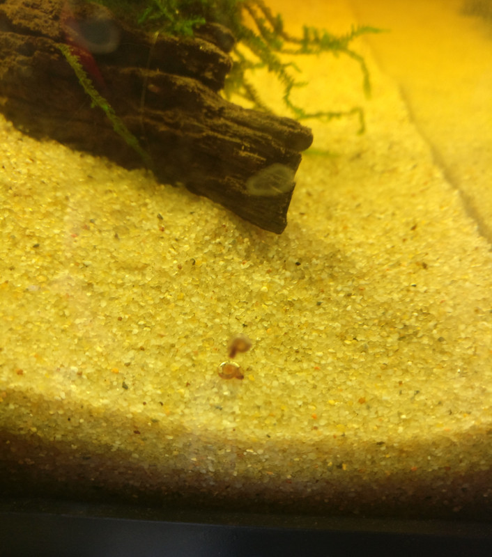 IMG_20180510_171555__01