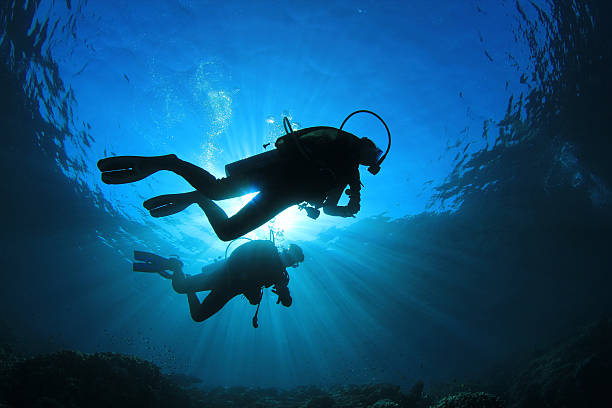 Dive Courses on Koh Tao