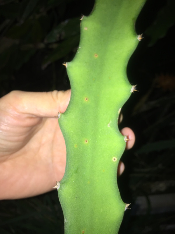 DECB90DB-AAF2-45FE-967E-06A660B28000