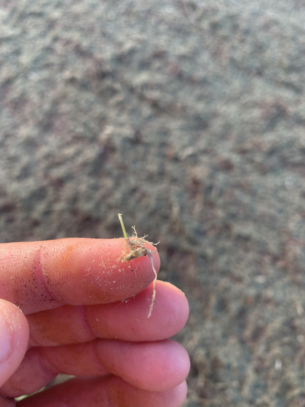 AC8168FD-CA58-4C15-A9DC-A40DAD614A85