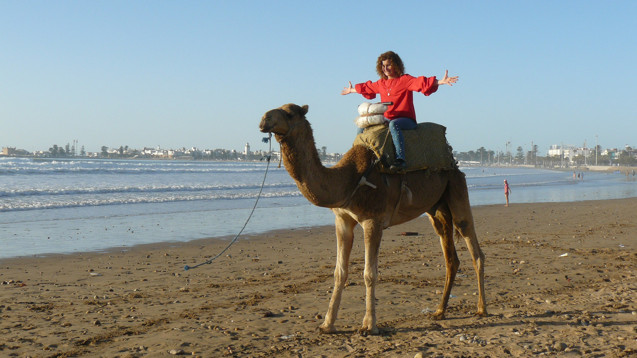 [Obrazek: P1120765.jpg]