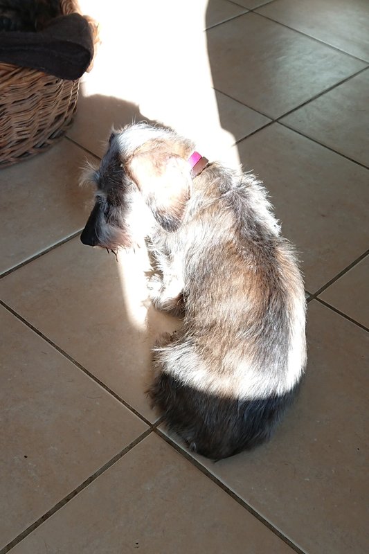 [Image: DSC-3613.jpg]