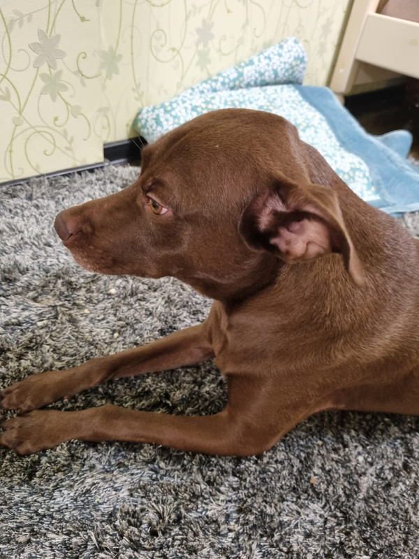 784C6FF3-5FF1-46E2-B502-F9B8756E9511