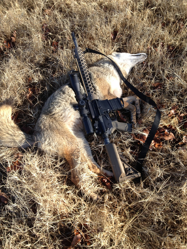 EB93CA18-FDB8-4492-9BE8-311F3FEDDF25