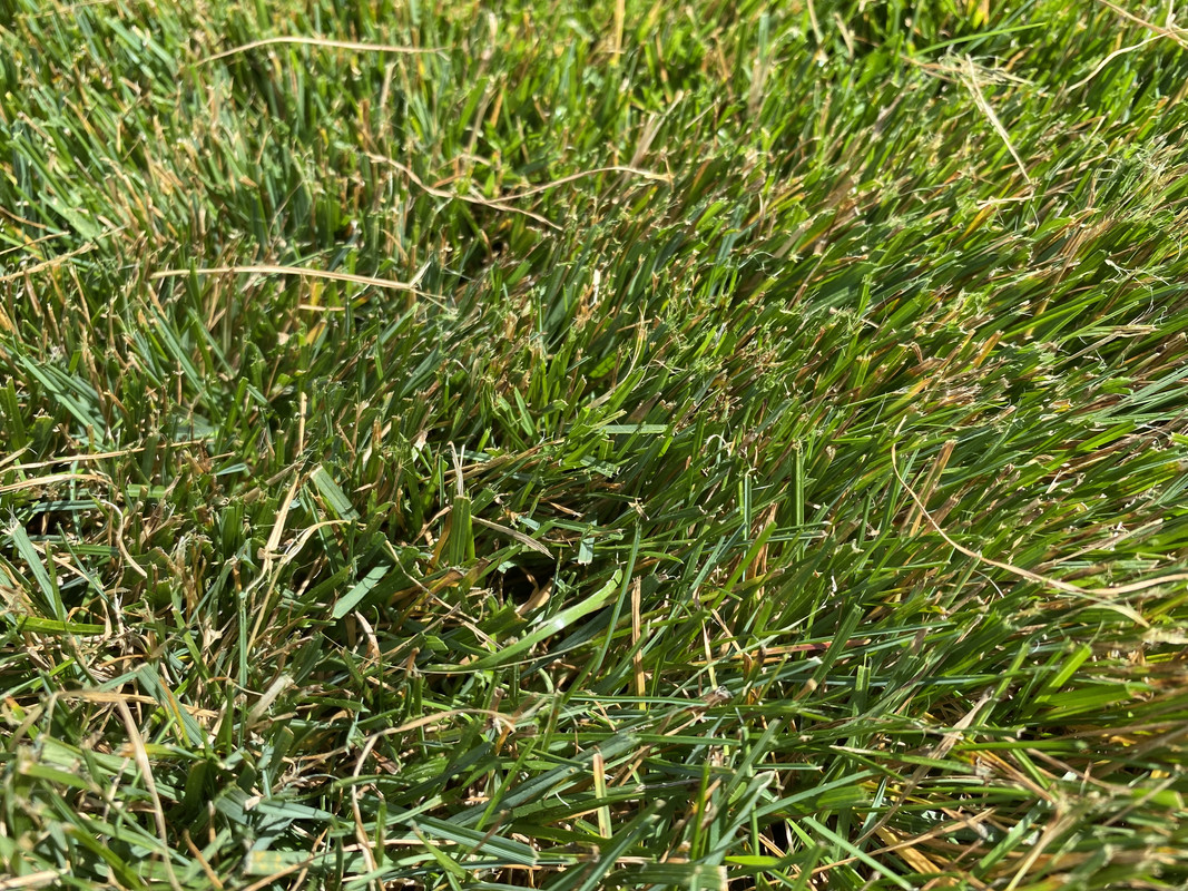 9D0ECA63-E603-4F5D-AC5F-E47EF0981CCF