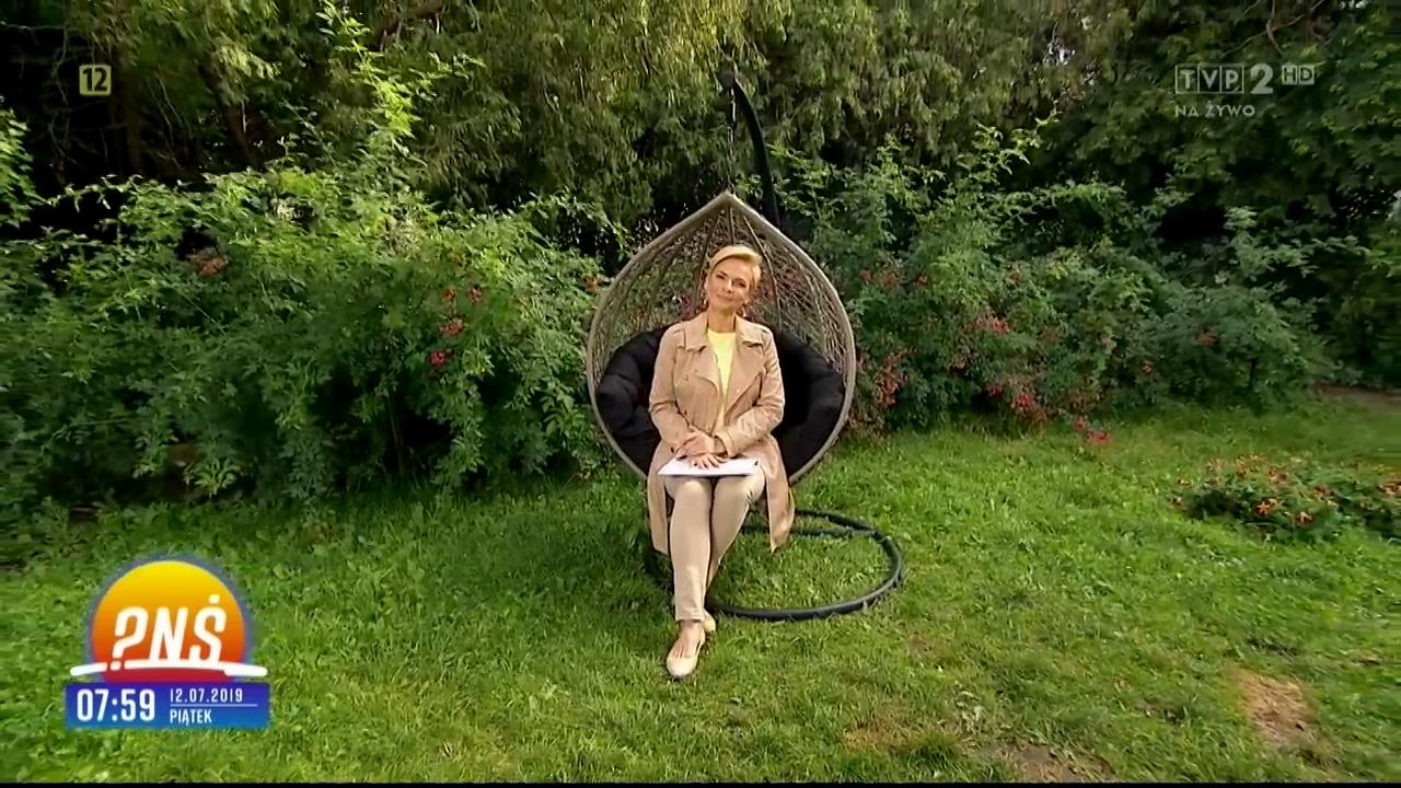 V0323_20190719_091511.mp4_snapshot_00.42_[2019.07.21_10.26.19]