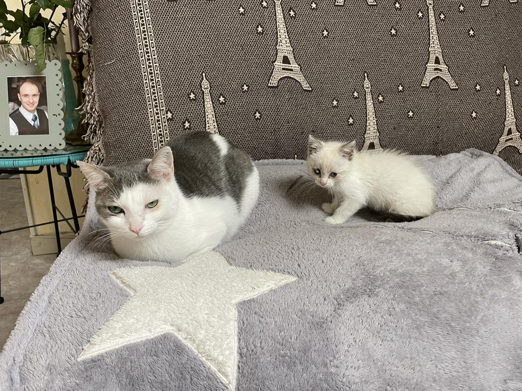 IMG-8692d1fdd2f981b41c9845c0c9575a7c-V