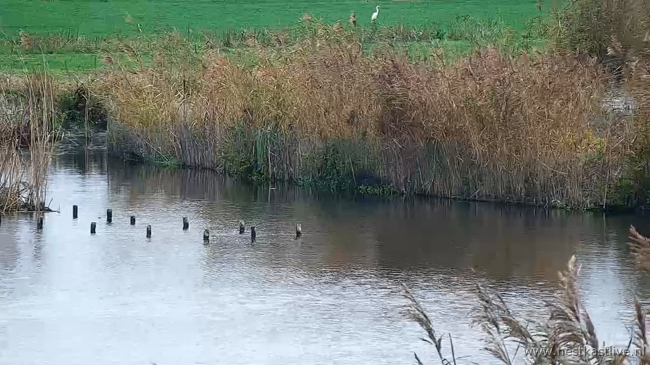 snapshot 2025 11 16T123055 650