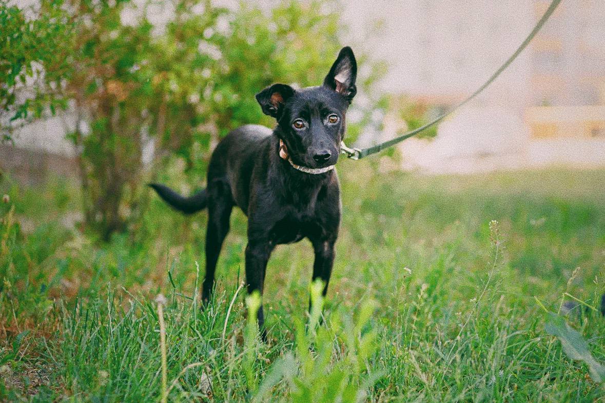 изображение_viber_2023-07-30_17-20-03-162