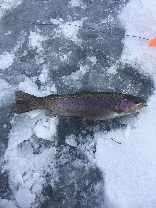 25E85DA0-6699-47EB-8D18-EED7C21CA60A