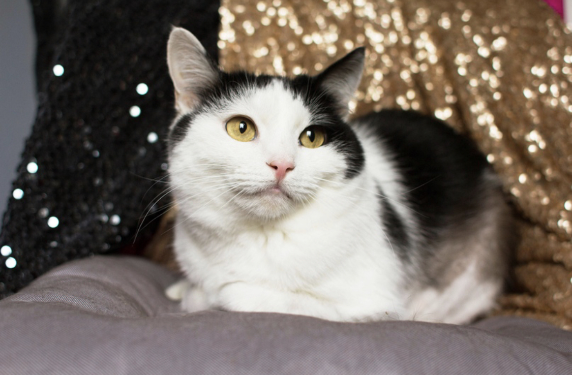 C0F43CF8-FD23-4F75-9C1D-03509EEE6C98