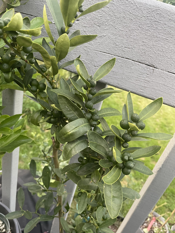 76F83E07-5660-42C9-9B53-F572EA4BEDA5