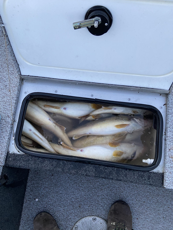 5F02A5B3-4EF5-4BE7-A105-D83035CA2E9B