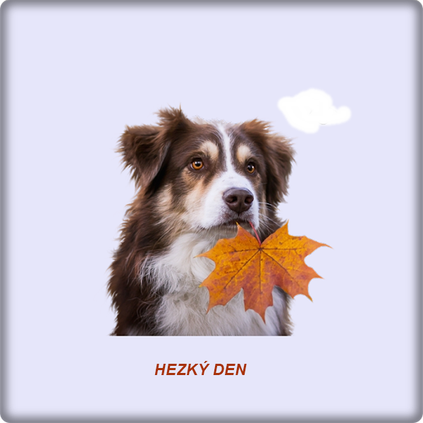 An den Beitrag angehängtes Bild: https://i.postimg.cc/j55CPFvW/MR-Autumn-leaf-for-a-dog.pnghttps://i.postimg.cc/j55CPFvW/MR-Autumn-le