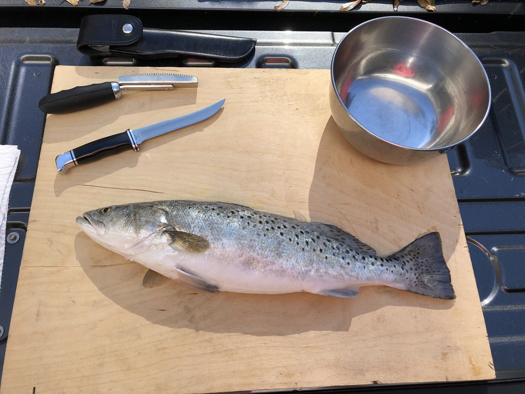 12-5-20-About-to-fillet-Speck.jpg