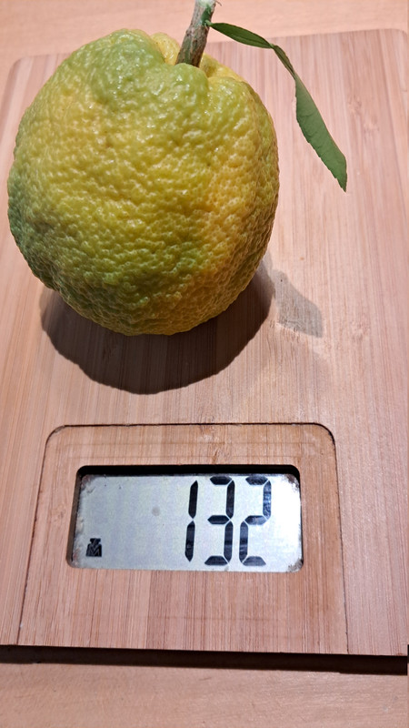 2 Yuzmelofrucht ausgepfl 20251121 160911