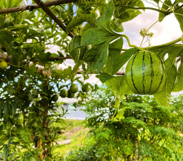 E0F6D4FC-5D28-4F8D-87C0-5C50B953C67A