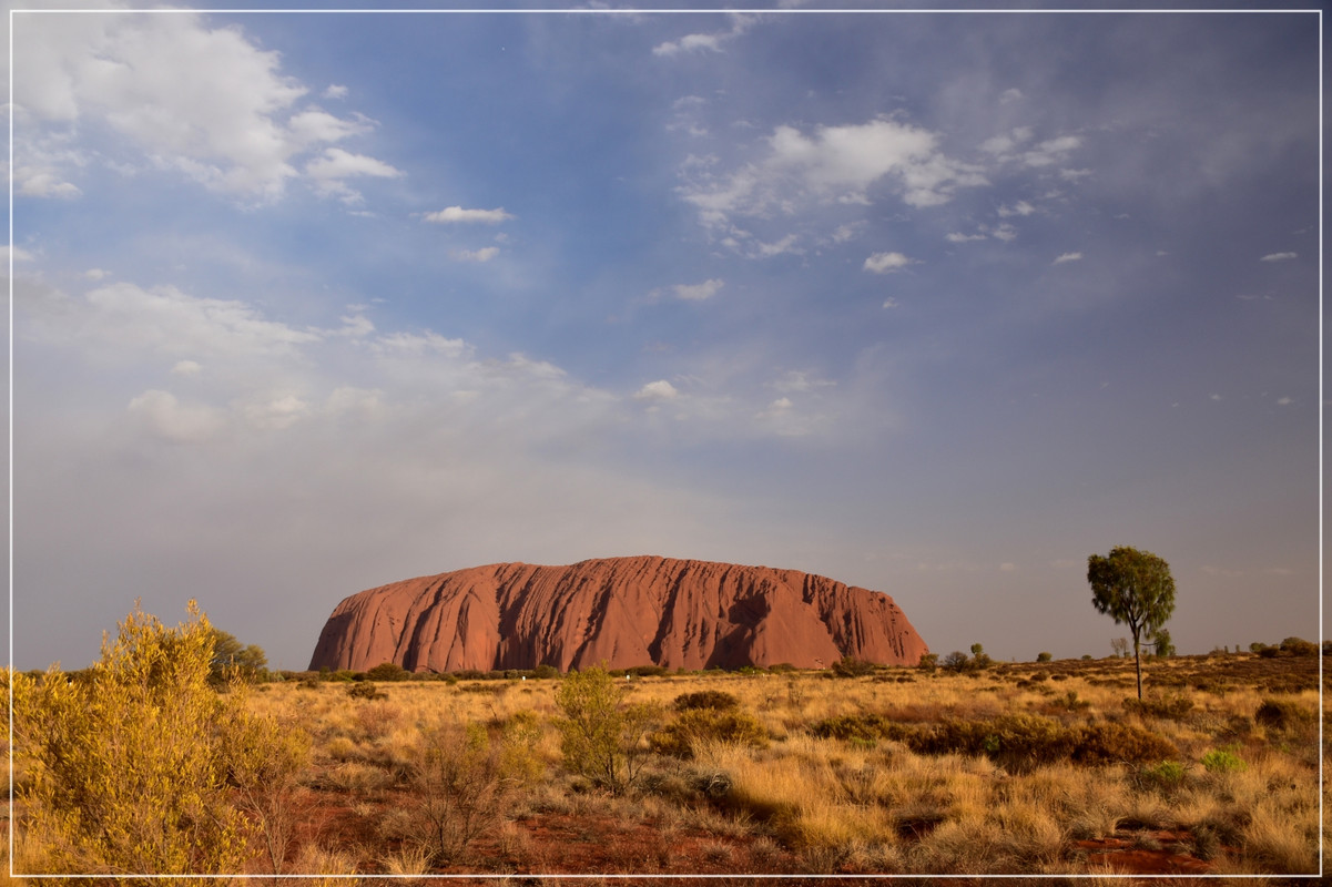 Red Center - Australia (I): toma de contacto (46)
