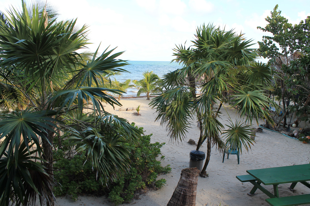 Belize1-006.jpg