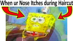 téléchargement (5)