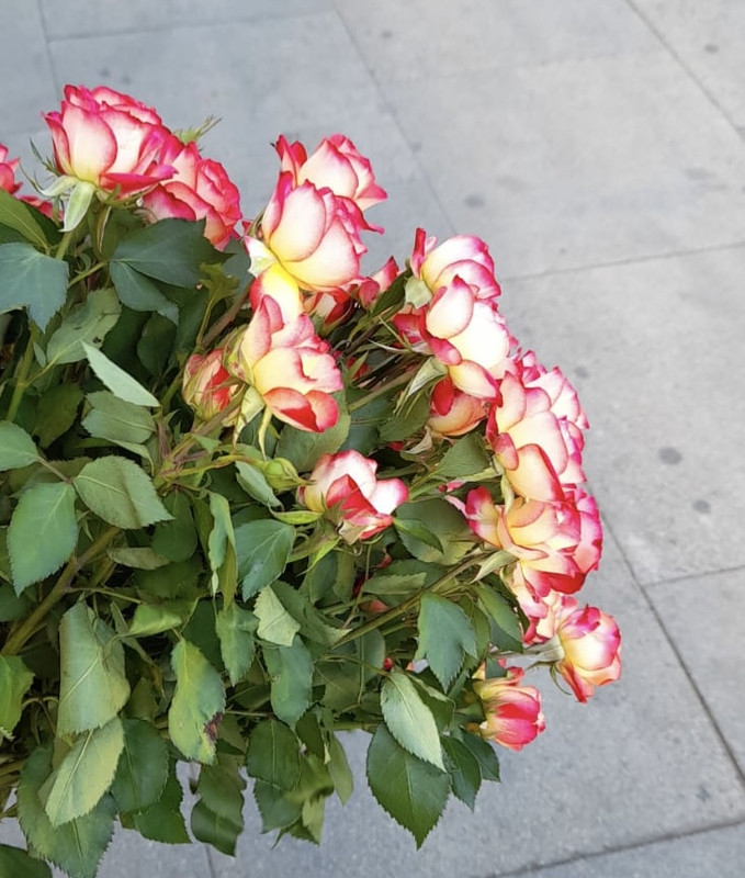 92cdc6e8-6ff9-4707-a9c3-8cbb6f3cb751