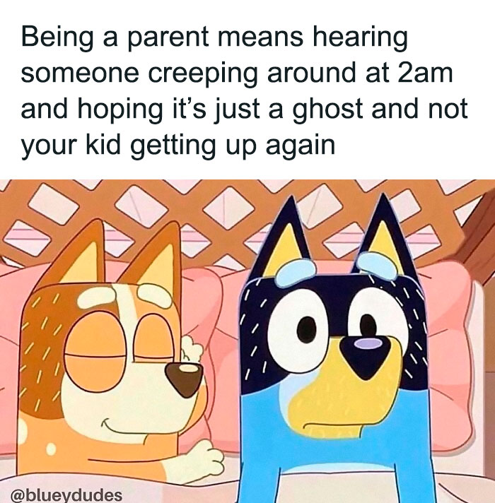 parenting-memes-muddled-up-mummy-official-22-6613ce57aad51-700