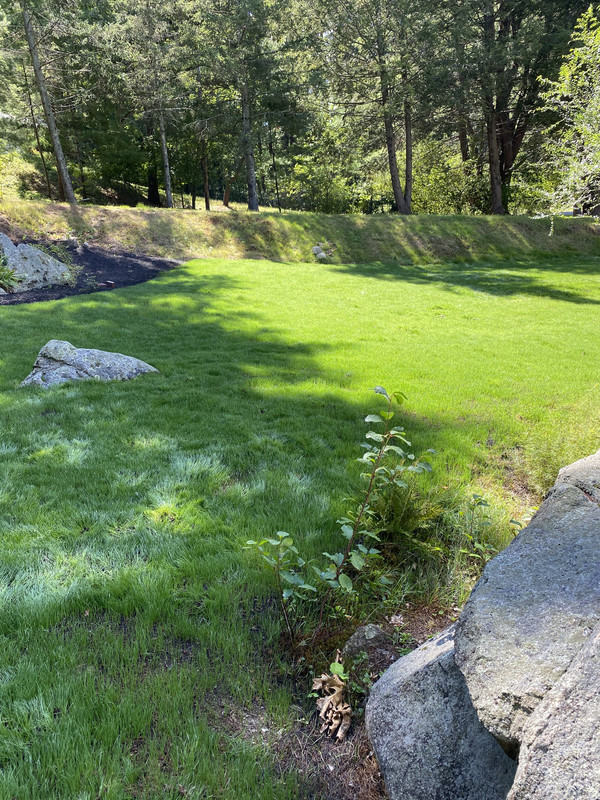 FA27671A-DEA7-4A52-AB6A-DBE072E9BA00