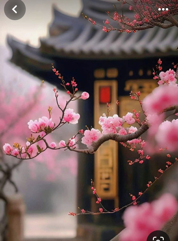 Screenshot_20240324_215915_Pinterest