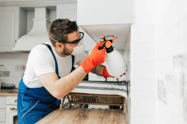 Orlando pest control