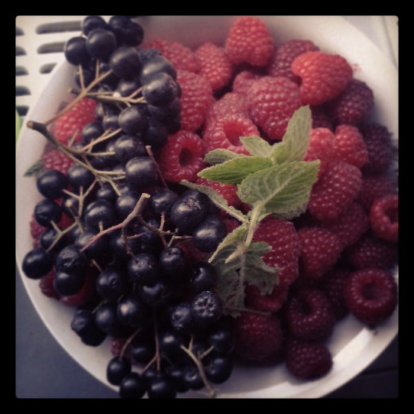 Tolerancija22_renamed_14143