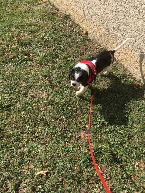 916CEA8F-C027-414F-8284-198D7EF71A09