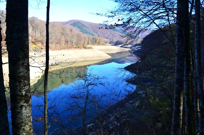 SELVA DE IRATI-14-11-2015-NAVARRA - Paseando por España-1991/2015-Parte-1 (23)