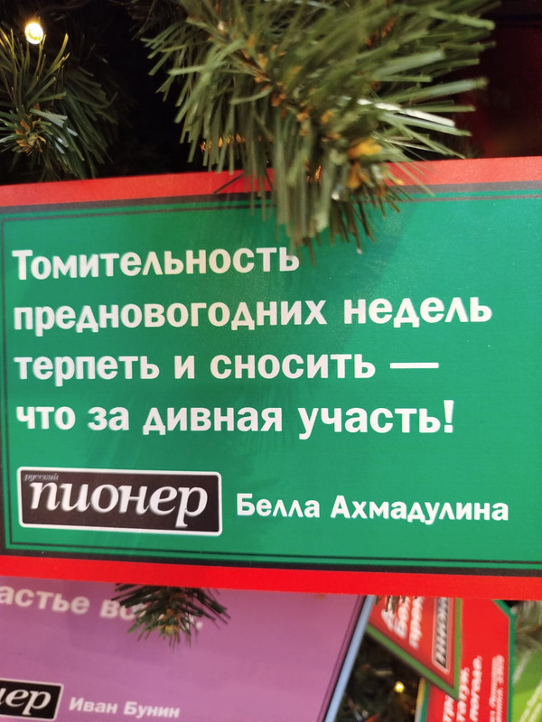 Ладья и Предновогодняя Москва 2025 116