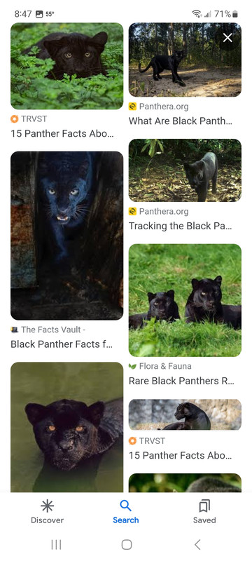 [Linked Image]