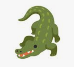 Croc