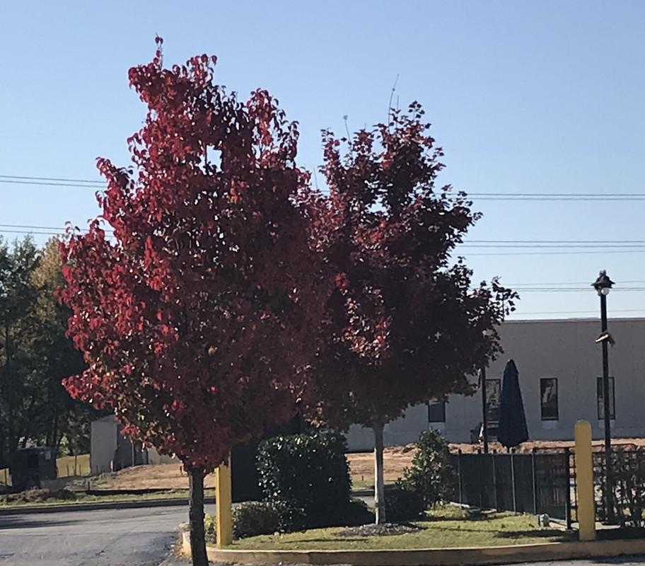 81FCB252-E91B-4298-B03B-9E8CD4D58AF5