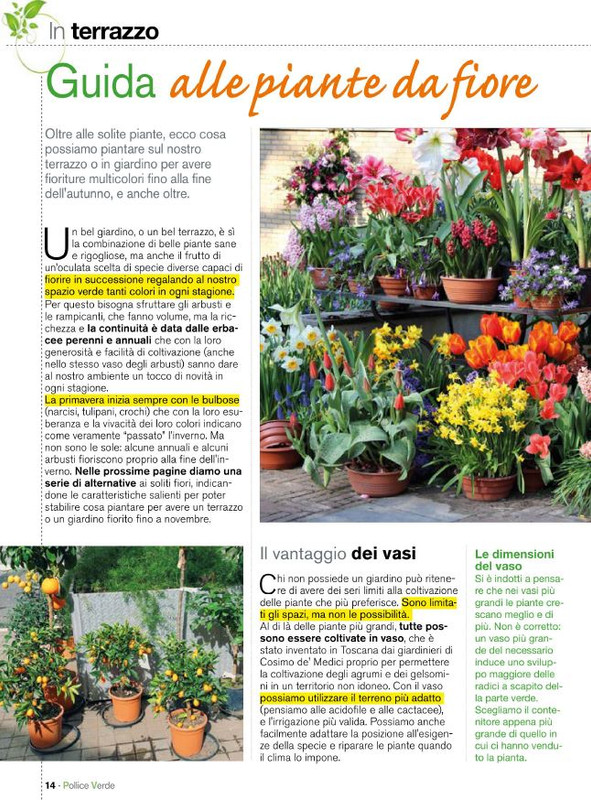 Pol Ver Mag 2020 (1)