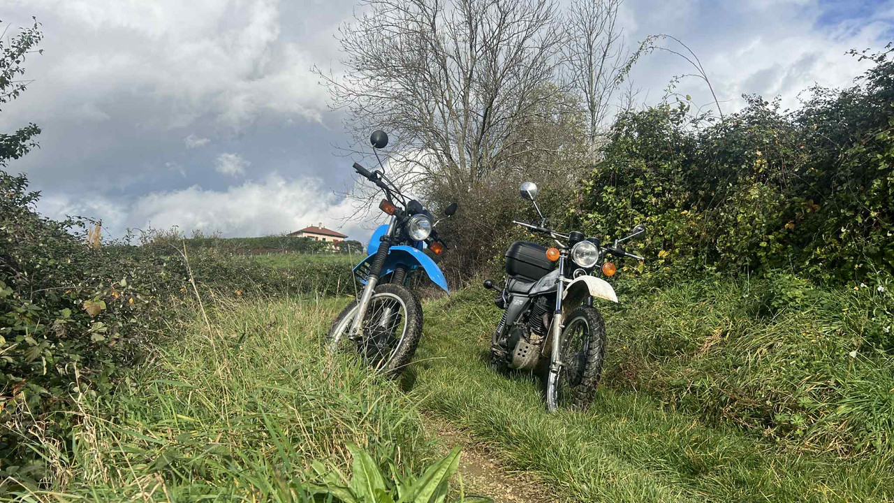 fd158c3c 7457 4f61 8b8e 71a7d1f6f685