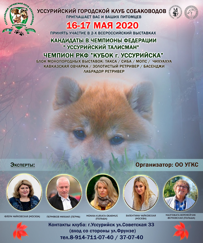 афиша выставки