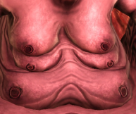 Snimek-obrazovky-2026-03-28-170229