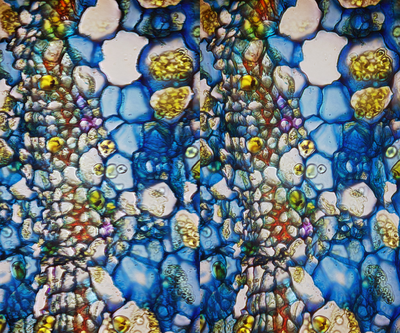 Stereo 4 5 Cross TPnd 4K