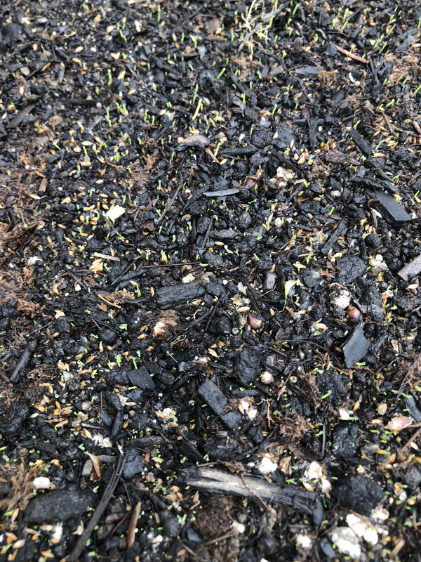 C86AD0E2-FC3F-4529-85C2-D9AB6D5E5C63