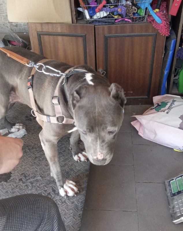 Снимок экрана 2024-05-27 в 20.51.14