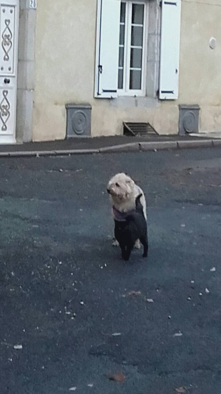 EBA9F413-DAD4-4CA6-82F4-70C15BD3BA91