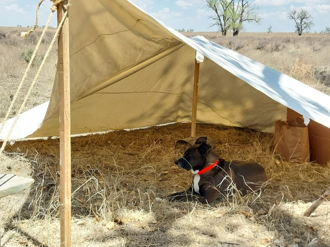 436292984_10160553152632875_3284000380664068459_n