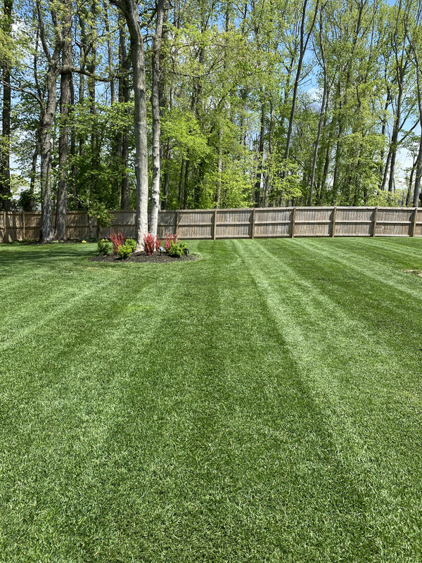 9965C82E-CAD9-49A9-BB83-C6418F9738CC