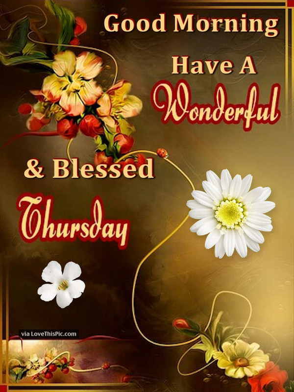 241676-Good-Morning-Have-A-Wonderful-And-Blessed-Thursday