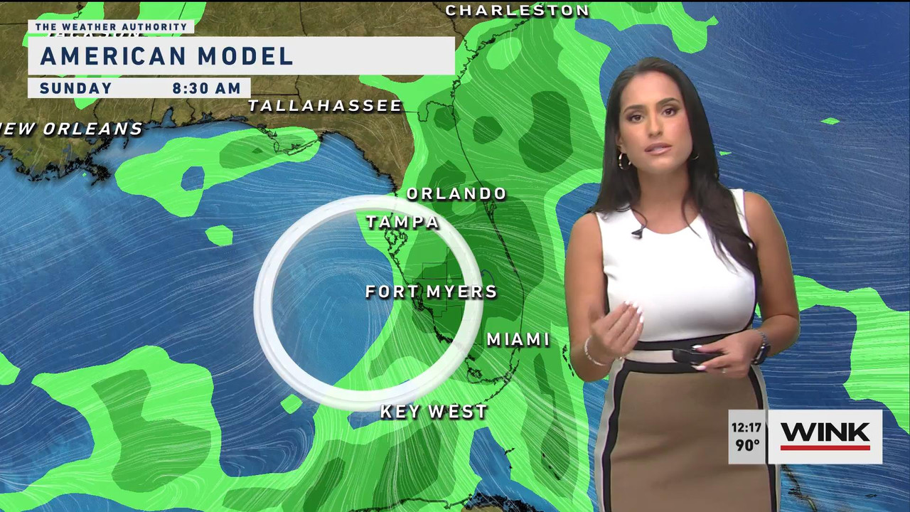 08.12 - 17.00.00 - WINK Noon News. Local news, sports and weather.ts_snapshot_07.28_[2021.08.12_19.0