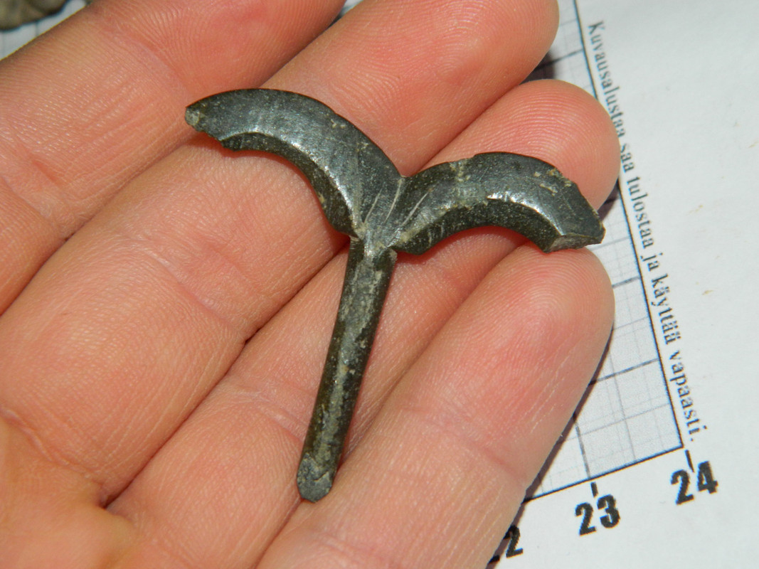 tippakultasormus 010